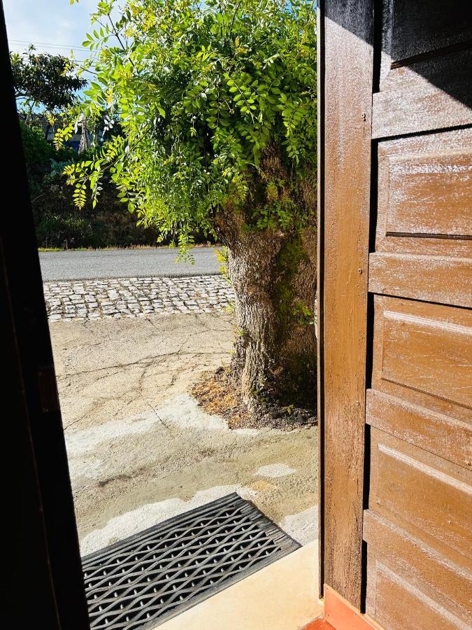 Mae Home Carril Caldas Da Rainha Eksteriør billede